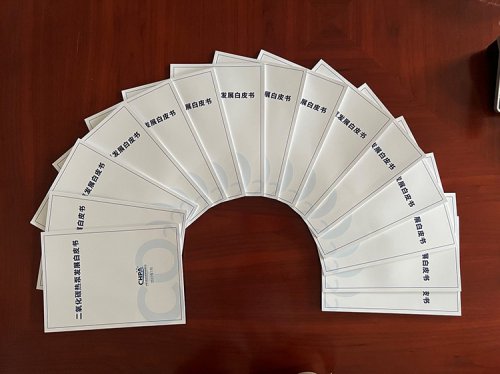 重磅！《二氧化碳熱泵發(fā)展白皮書》正式印發(fā)